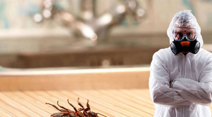 Уничтожение тараканов: Эффективные методы и профессиональная дезинфекция