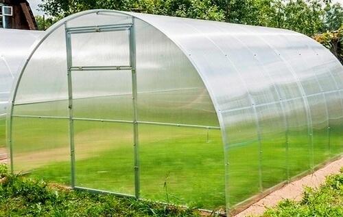 Парник или теплица: в чем разница и какую конструкцию выбрать?
