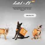 В Екатеринбурге бездомные собаки раздают интернет